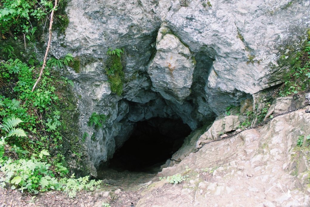 Wylot jaskinii (Smocza Jama) w Dolinie Kościeliskiej