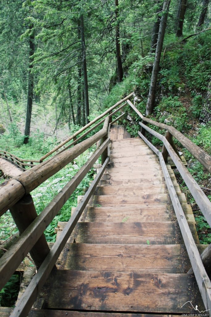 Drewniane schody powyżej Polany Pisanej, Dolina Kościeliska
