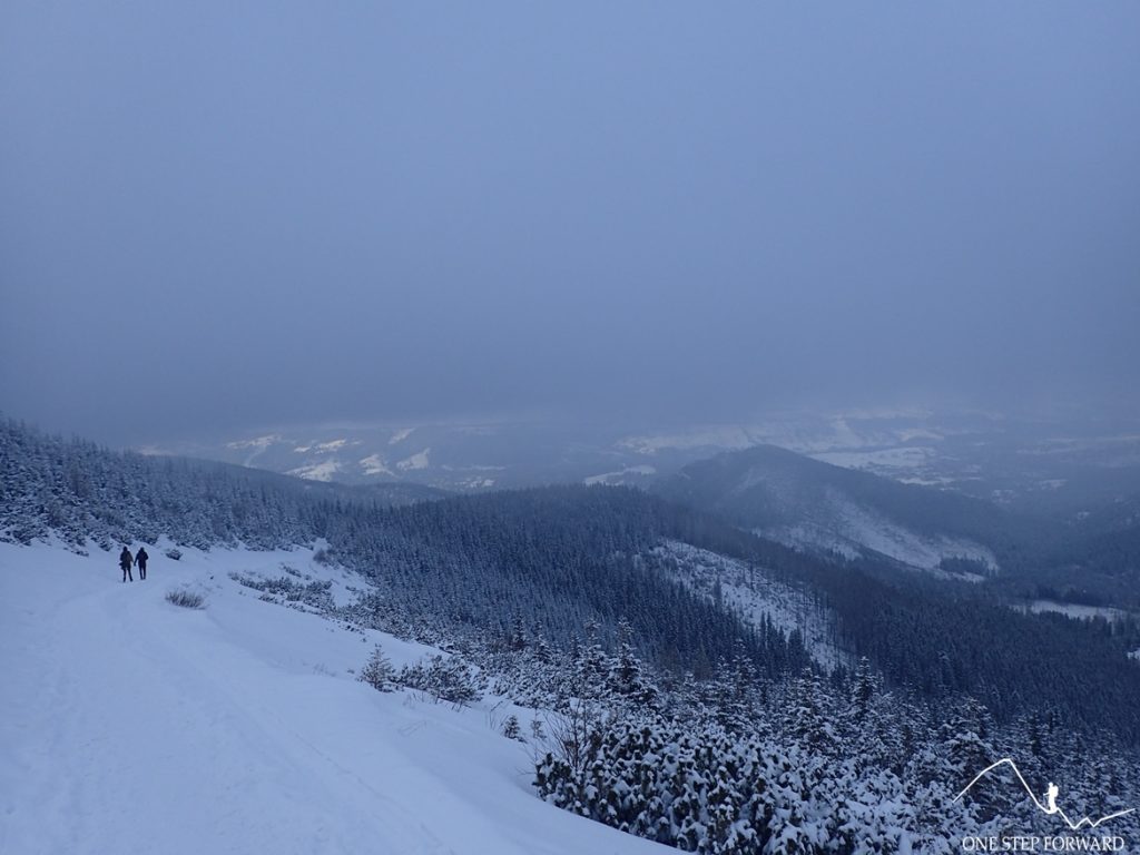 Niebieski szlak przez Skupniów Upłaz zimą