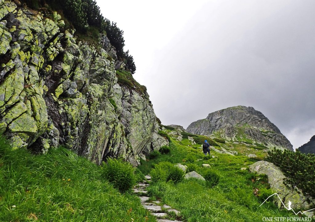 Podejście do Dolinki pod Kołem - Dolina Pięciu Stawów