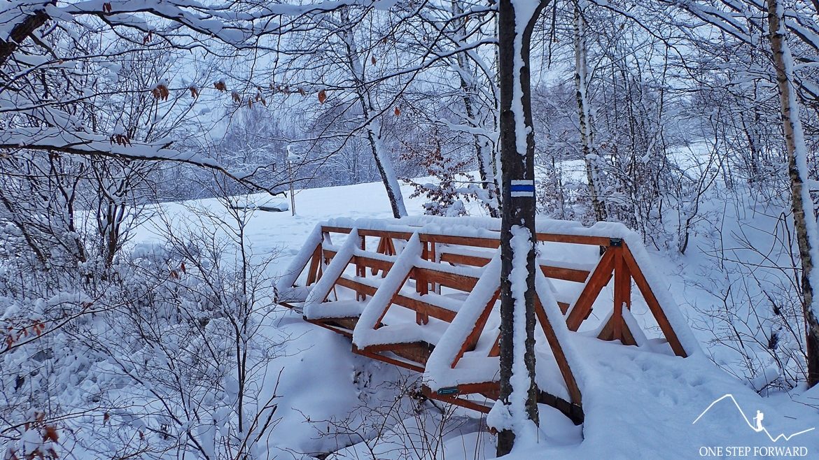 Drewniany most na trasie na Tarnicę