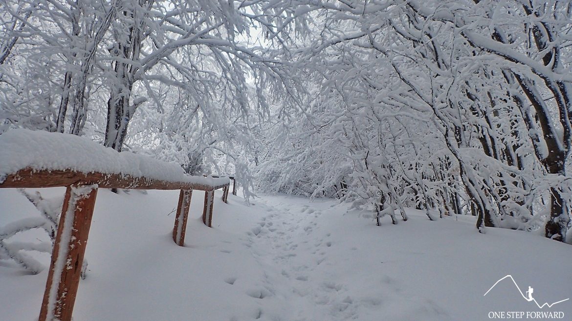 Zimowy szlak na Tarnicę