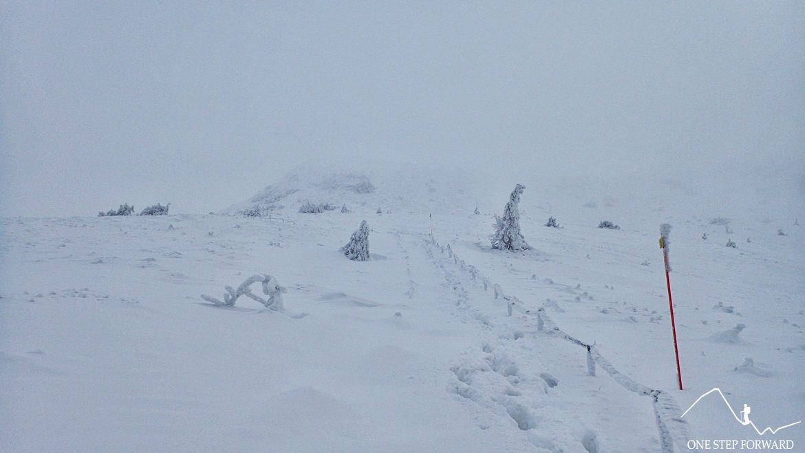 Zimowy przegieg szlaku na Tarnicę - Bieszczady