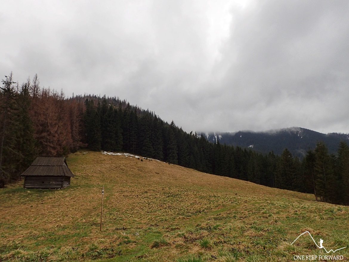 Przysłop Kominiarski - polana w Tatrach Zachodnich