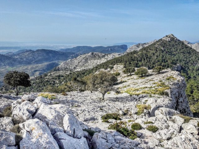 Widok z Na Franquesa na Puig de L’Ofre - Ruta de Tres Miles, Majorka- Ruta de Tres Miles, Majorka