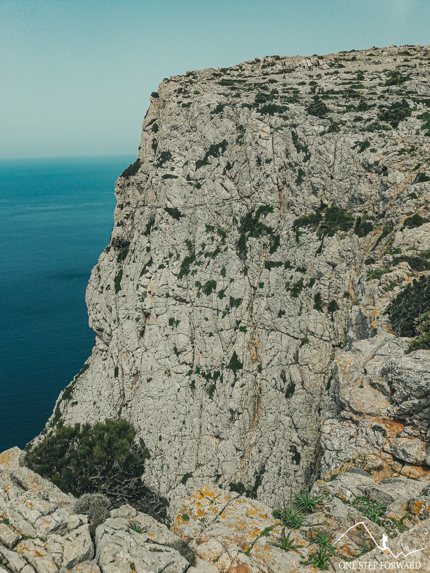Strome skały na przylądku Formentor - Cap de Formentor, Majorka