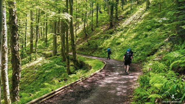 Przełęcz Krowiarki - niebieski szlak turystyczny