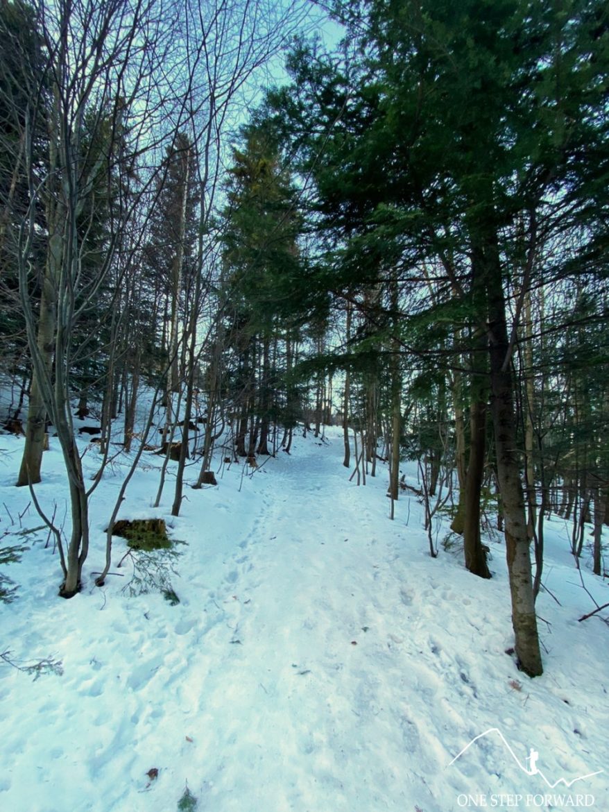 Niebieski szlak na Skrzyczne - odcinek leśny