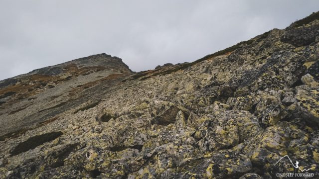 Rumowisko skalne w drodze na Sławkowski Szczyt