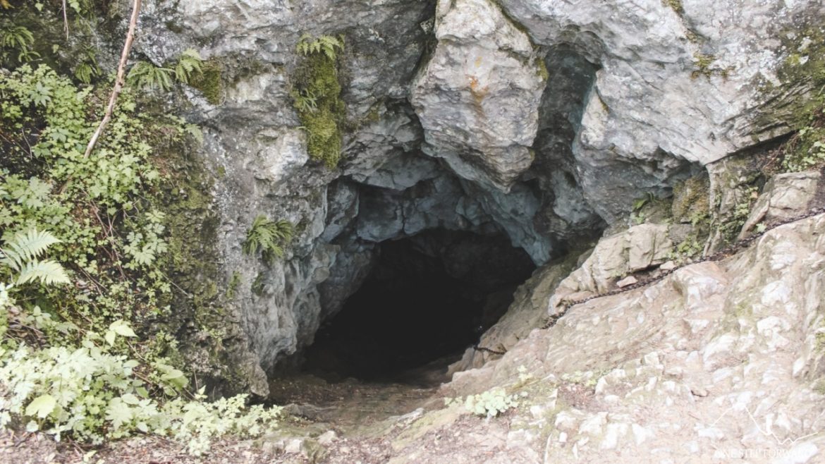 Smocza Jama - wylot jaskini