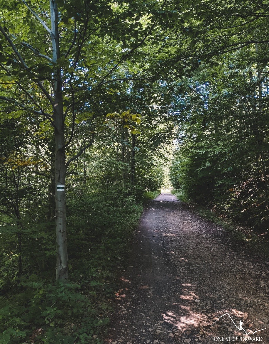 Szlak na Chełmiec - podejście zielonym szlakiem z Boguszowa-Gorców