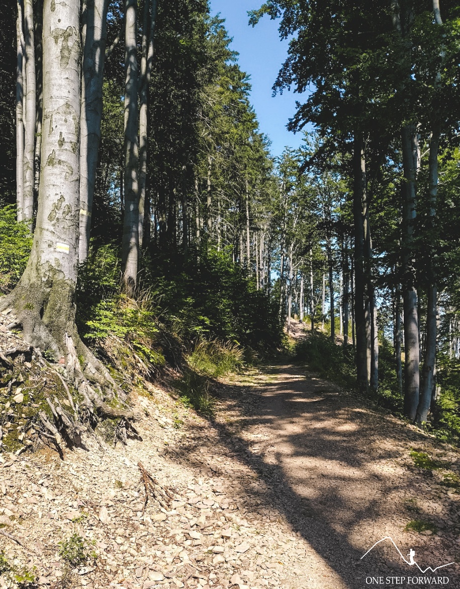 Żółty szlak na Chełmiec, Góry Wałbrzyskie