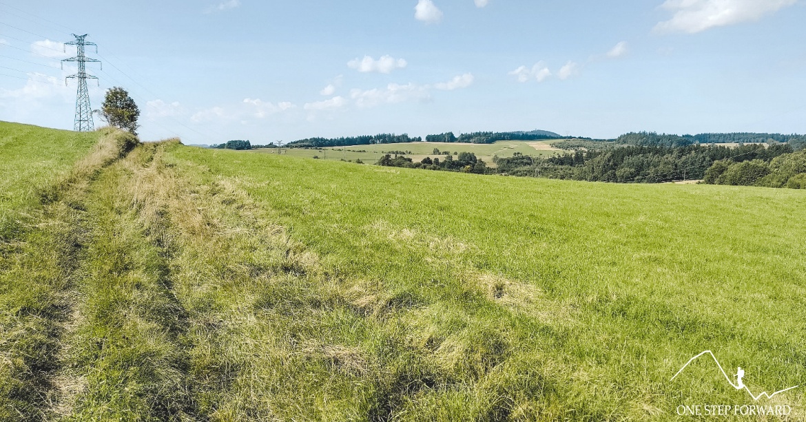 Chełmiec - niebieski szlak prowadzący przez łąki