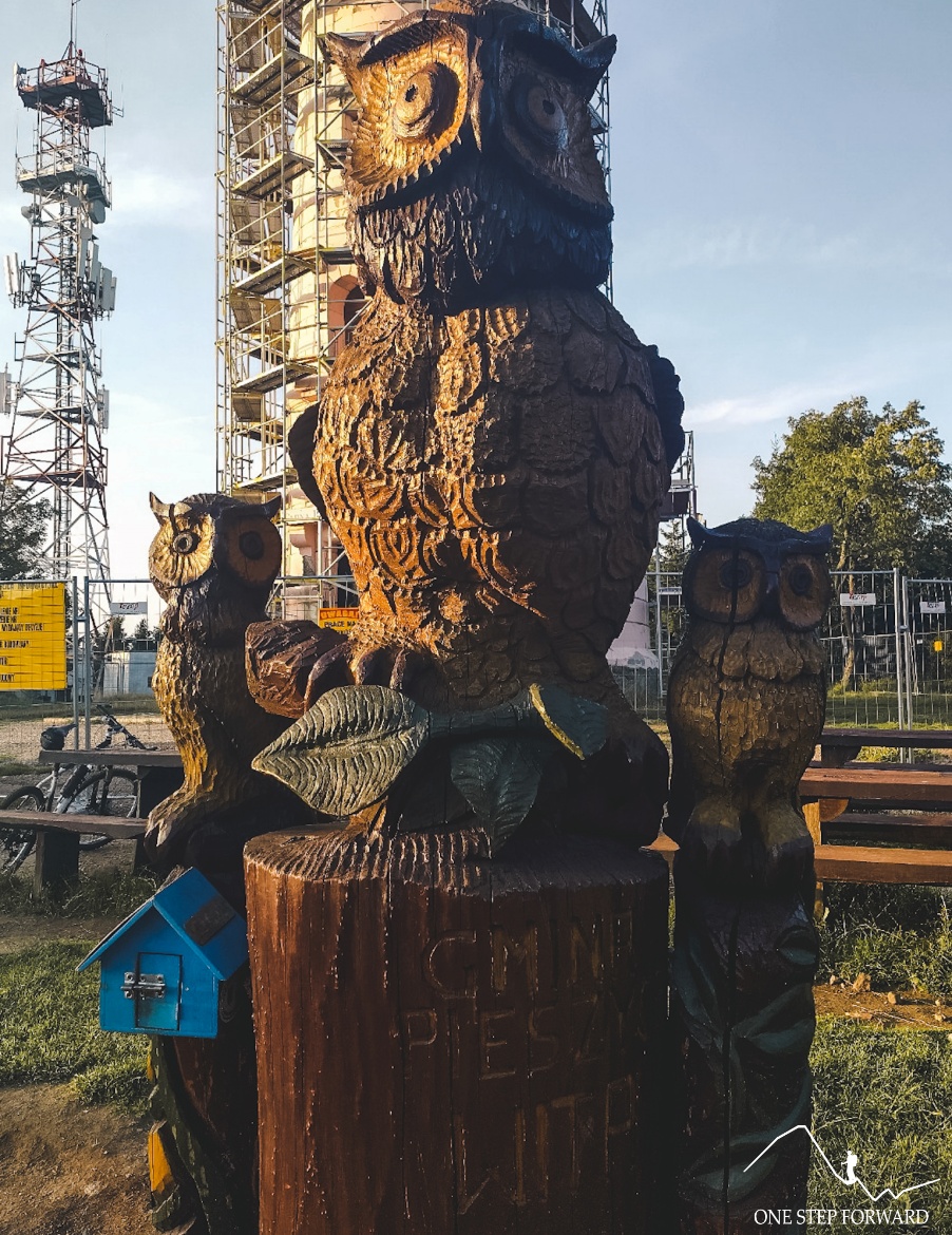 Drewniana rzeźba sowy, Wielka Sowa, Góry Sowie
