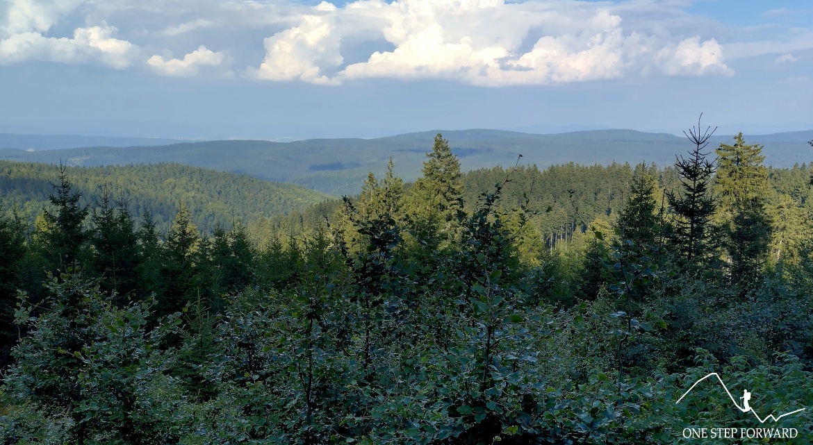 Zielony szlak na Orlicę - widok na Góry Bystrzyckie