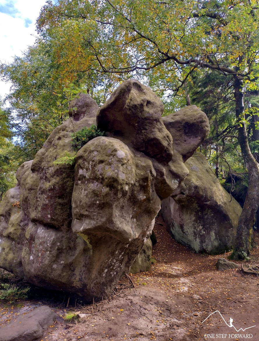 Słoń (formacja skalna), Labirynt Skalny, Góry Stołowe